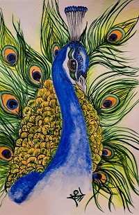 Peacock watercolor paper painting
